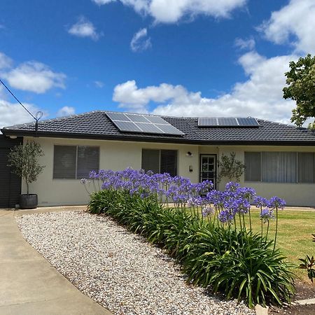 Para House, Tanunda. In The Heart Of The Barossa Valley!. Βίλα Εξωτερικό φωτογραφία