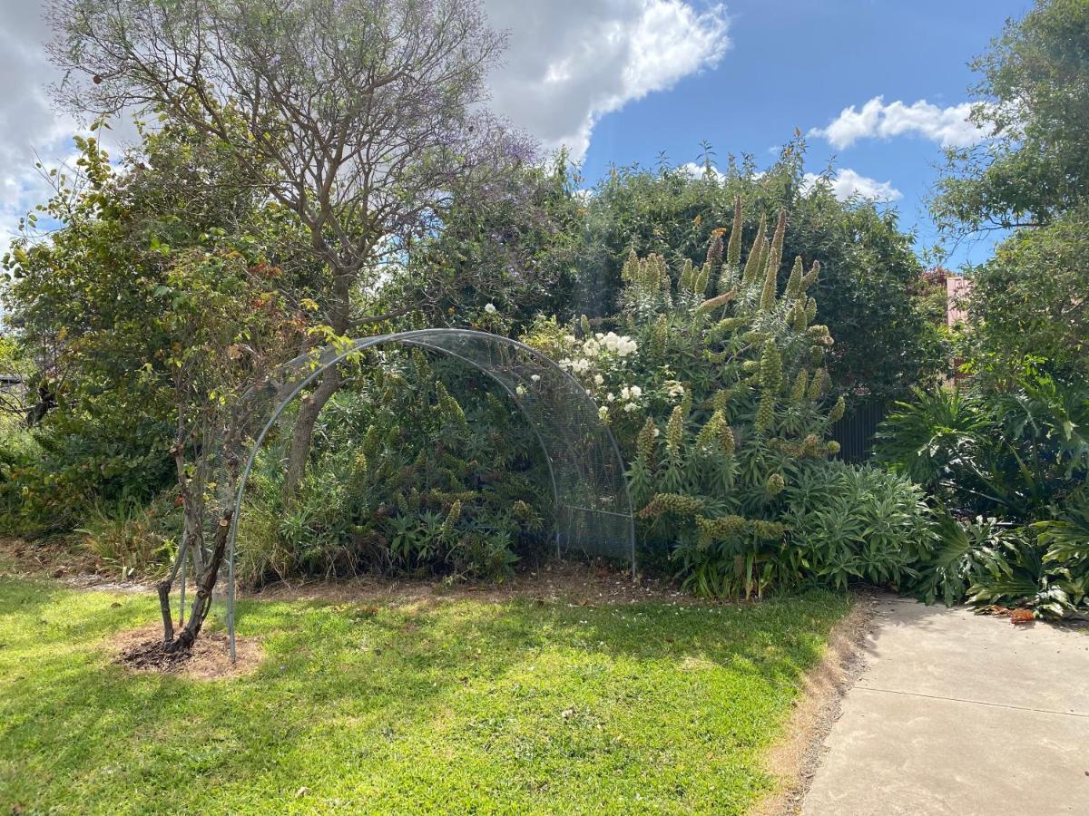 Para House, Tanunda. In The Heart Of The Barossa Valley!. Βίλα Εξωτερικό φωτογραφία
